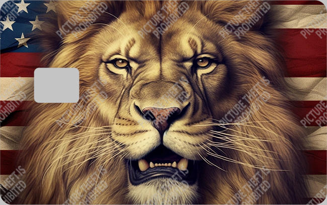 Bank  Card Sticker-BC-46